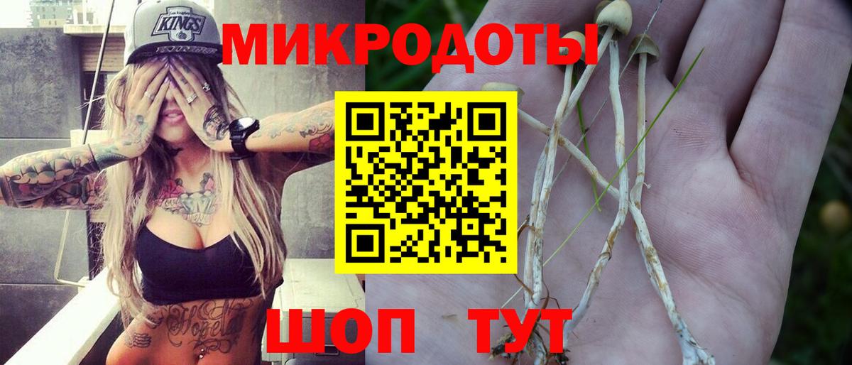 Псилоцибиновые грибы Psilocybe  наркотики  Вход с VPN  Шелехов  Псилоцибиновые грибы Psilocybine cubensis 